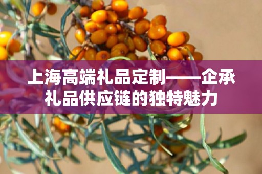 上海高端礼品定制——企承礼品供应链的独特魅力