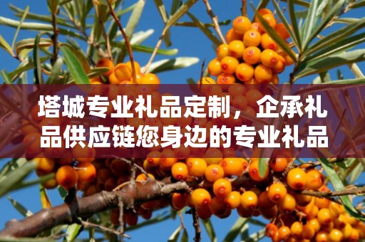 塔城专业礼品定制，企承礼品供应链您身边的专业礼品定制公司